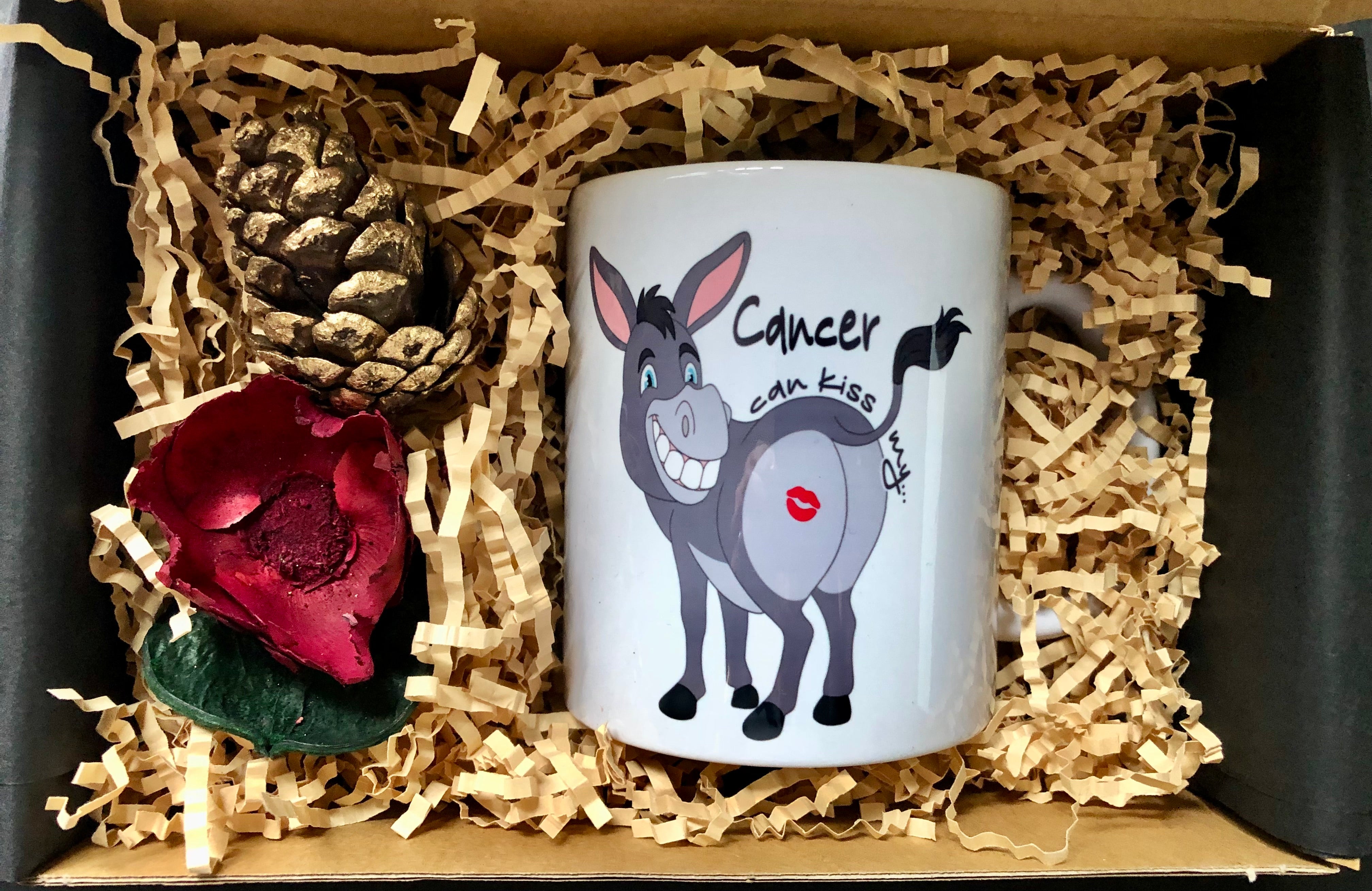 Cancer can kiss my…. - Funny Cancer Get Well Mug