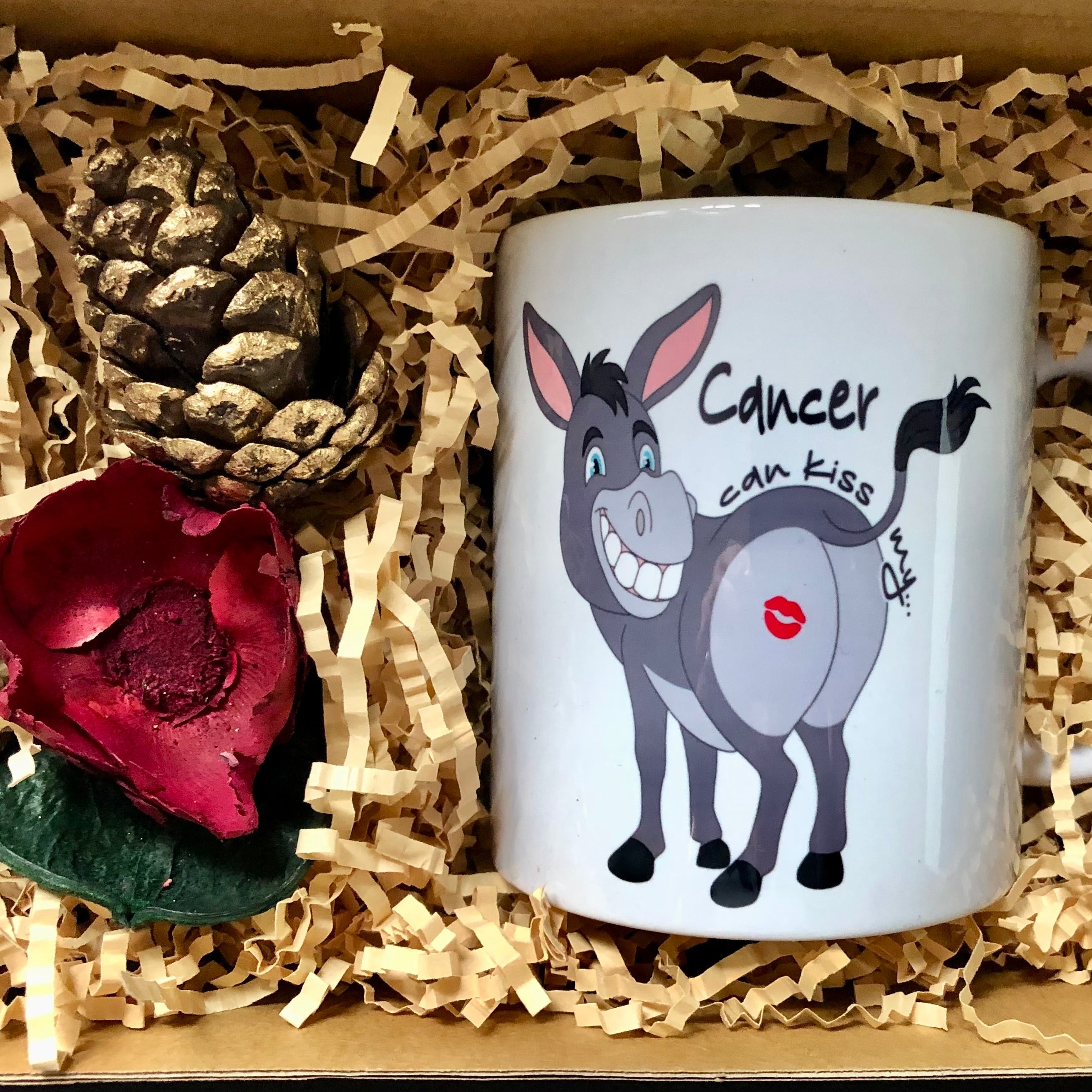 Cancer can kiss my ass mug