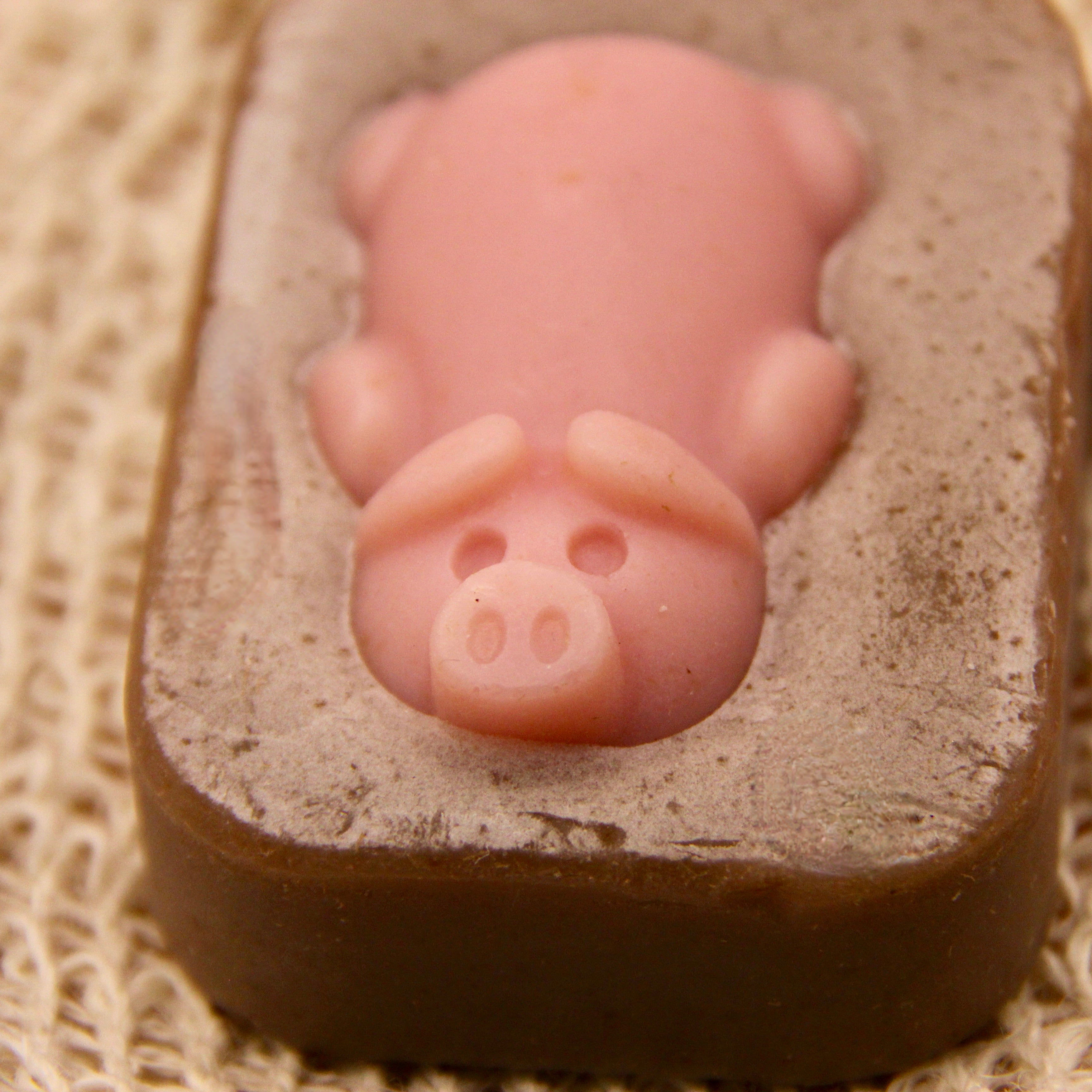 Piggies In Mud - Goats Milk Soap