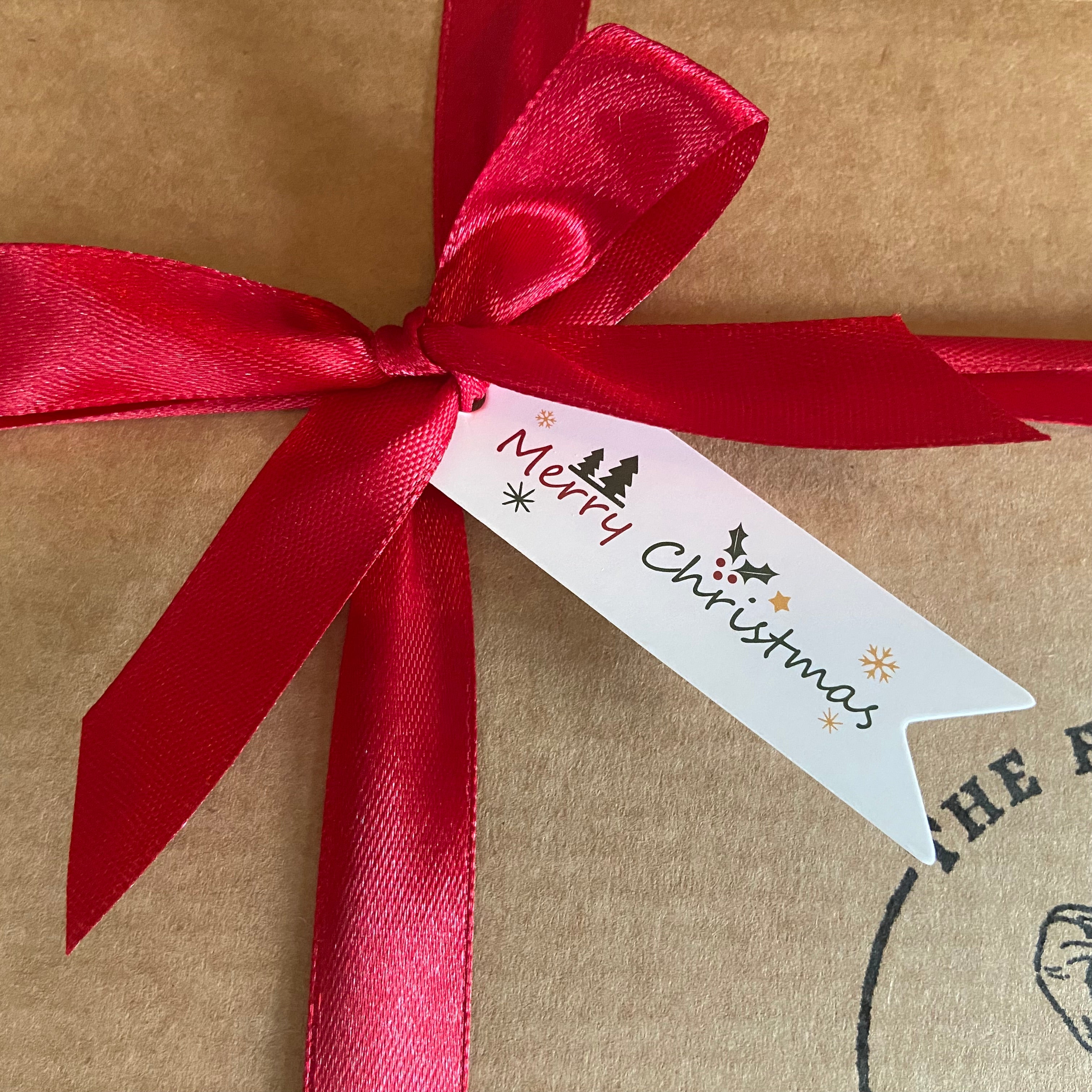 Gift wrapped in brown paper with a red ribbon and 'Merry Christmas' tag.
